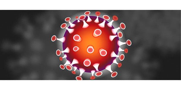 香港單向通關最新消息今天，冀港深發(fā)揮“雙引擎”