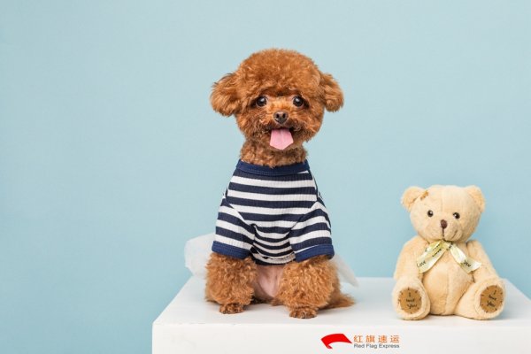 疫情期間香港商品如何轉(zhuǎn)運到河南商丘呢？